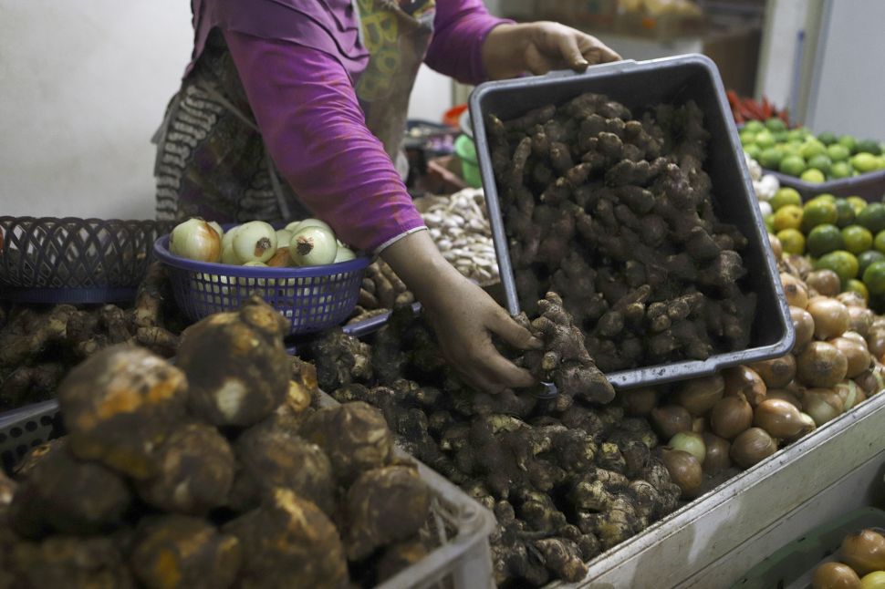 Pedagang menunjukkan jahe merah di Pasar Rumput, Jakarta Selatan, Rabu (4/3). [Suara.com/Angga Budhiyanto]