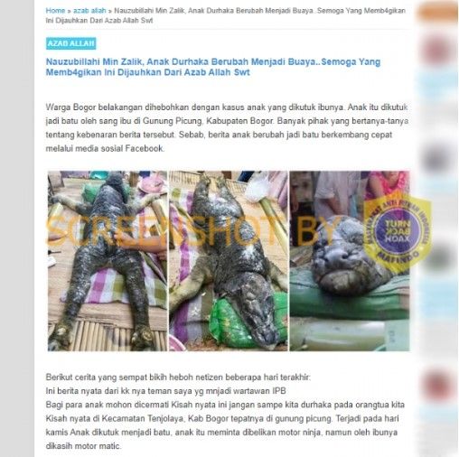 Anak durhaka di Kabupaten Bogor dikutuk jadi buaya. (turnbackhoax.id)