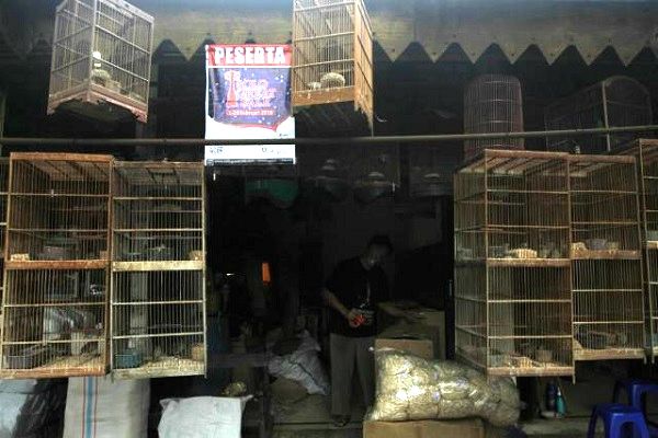 Pedagang menata dagangan di kiosnya di Pasar Burung dan Ikan Hias Depok Solo, Senin (19/2/2018). [Solopos/Nicolous Irawan]