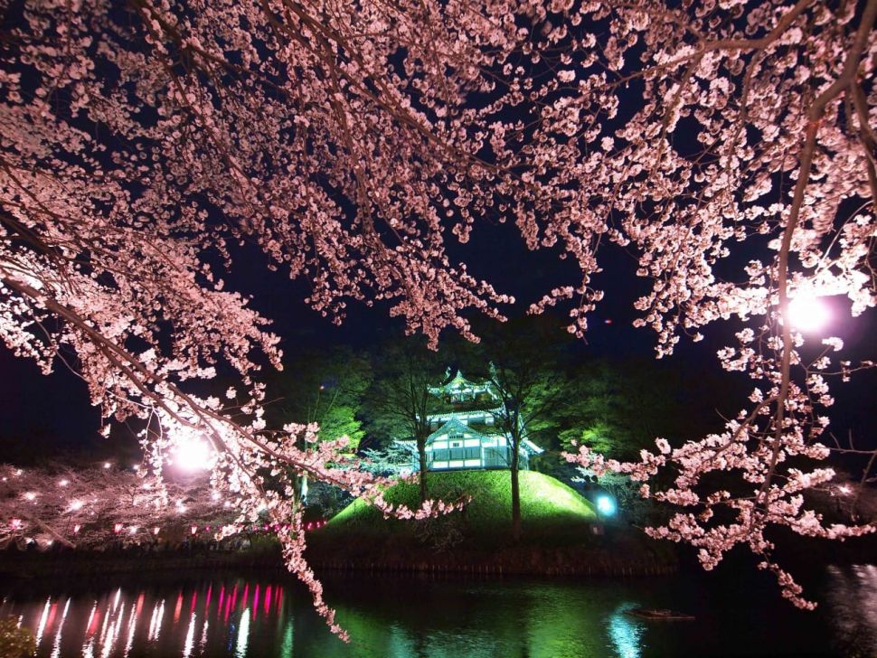 10 Tempat terbaik melihat bunga sakura di Jepang. (Dok. Biro perjalanan JR-East)