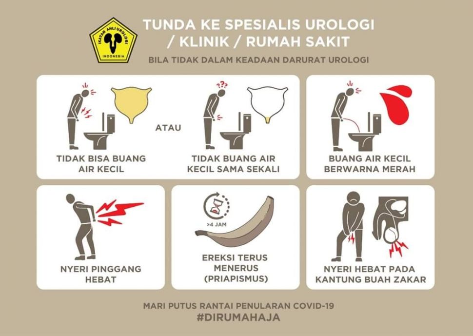 Spesialis Urologi. (Twitter)