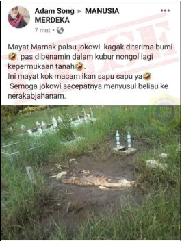 Hoaks jenazah Ibunda Jokowi naik ke permukaan (Turnbackhoax.id).