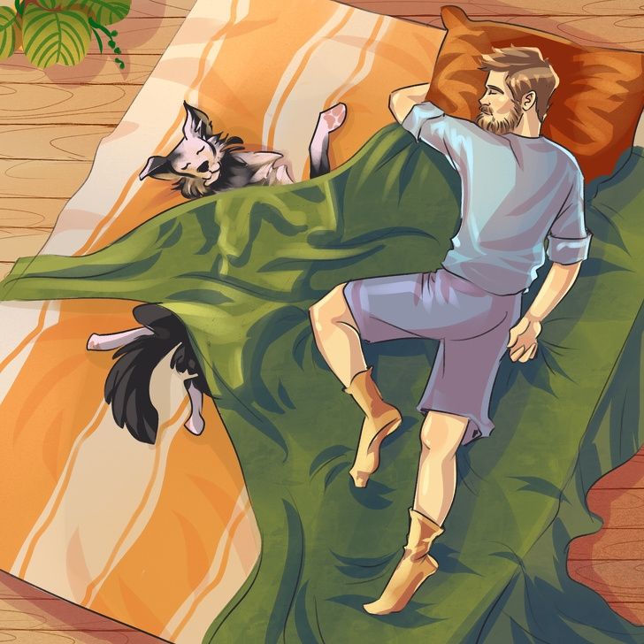 Tes kepribadian posisi tidur hewan tentukan kondisi mentalnya. (Dok. Bright SIde)