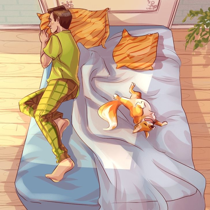 Tes kepribadian posisi tidur hewan tentukan kondisi mentalnya. (Dok. Bright SIde)