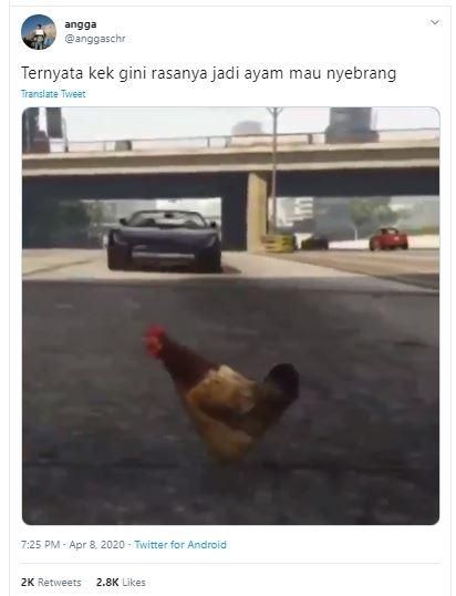Video mengenai susahnya menjadi ayam ketika menyeberang di jalan bikin warganet geli. (Twitter/ anggaschr)