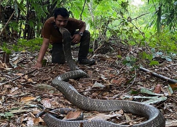 Panji Petualang dan Garaga [Instagram/panjipetualang_real]