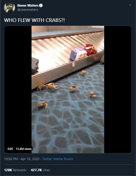 Video Viral Belasan Kepiting Lepas di Bandara Ini Bikin Petugas Kelabakan. (Twitter/@reesewaters)