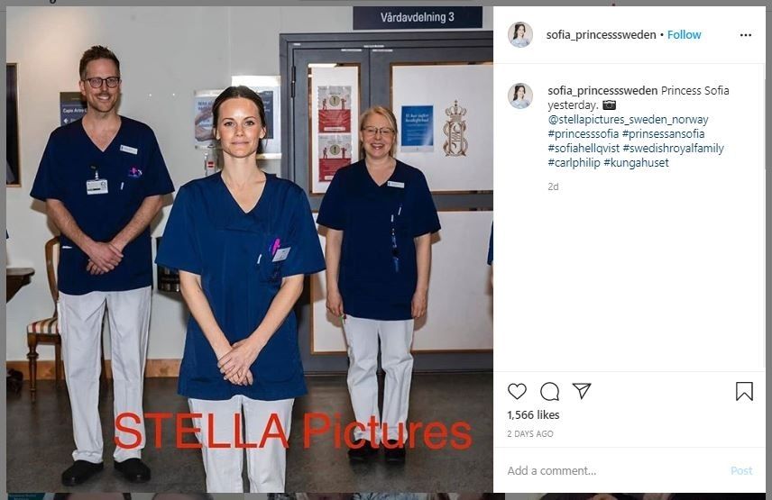 Putri Sofia Jadi Relawan Rumah Sakit (instagram.com/sofia_princesssweden)