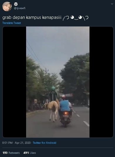 Pria berjaket dan berhelm ojol terciduk naik kuda di area kampus. (Twitter)