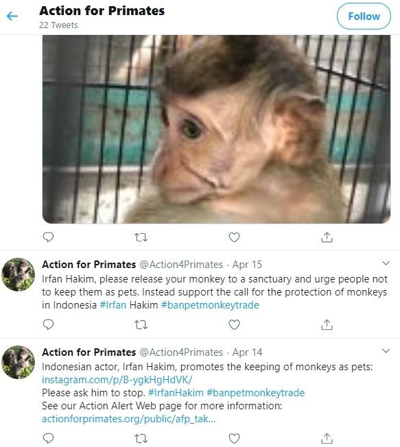 Action for Primates, kelompok internasional perlindungan hewan primata, mendesak selebritas Indonesia Irfan Hakim untuk berhenti mempromosikan bayi monyet sebagai hewan peliharaan. [Action for Primates]