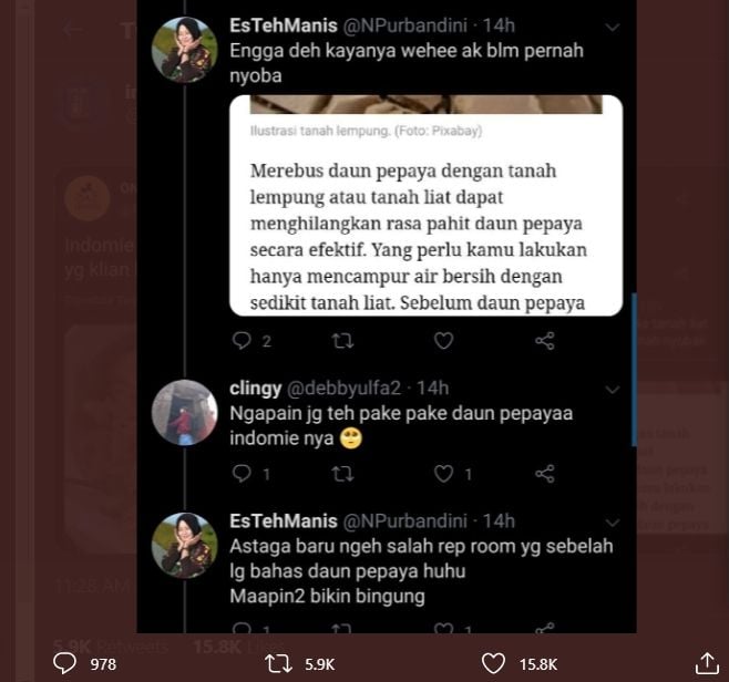  Salah Server, Wanita Ini Bikin Bingung Netizen saat Komentar Soal Seblak. (Twitter/@indostruggle)