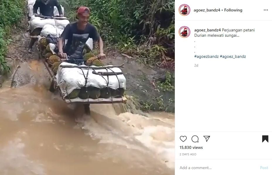 Motor bermuatan penuh nekat menerjang sungai. (Instagram)