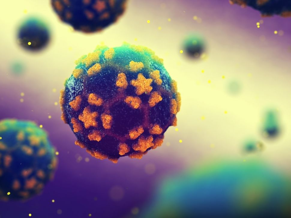 Ilustrasi virus Polio. [Shutterstock]
