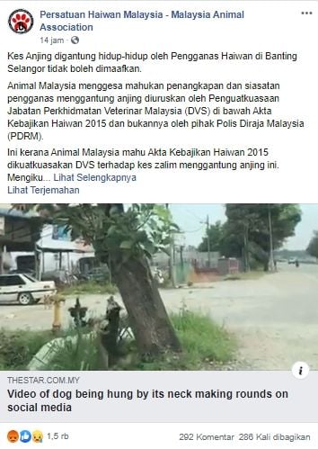 Pria nekat gantung anjing peliharaan (Facebook).