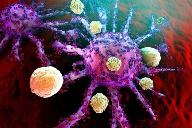 Sel T menghancurkan sel kanker (Pixabay)