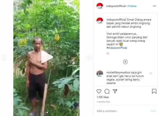 Reaksi pemilik kebun saat ada pencuri ternyata di luar dugaan (Instagram).