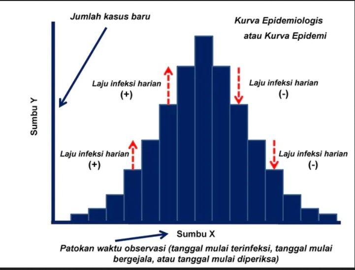 Ilustrasi contoh kurva epidemi atau kurva epidemologis. [Dok The Conversation]