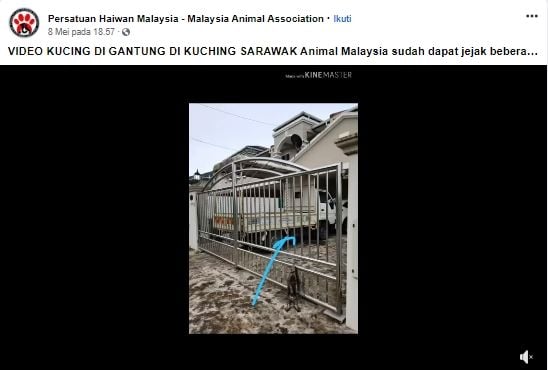 Postingan Video Penganiyaan Kucing di Sarawak. (facebook.com/Malaysia Animal Association)