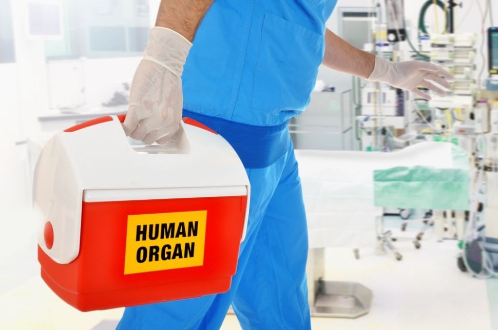 Ilustrasi donor organ. [Shutterstock]