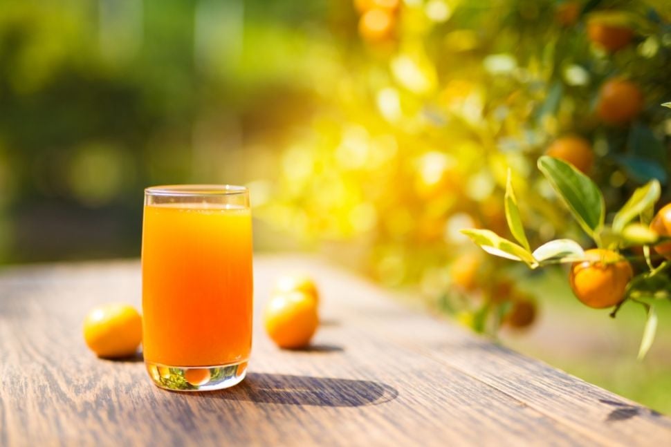 Ilustrasi minuman orange squash. (Shutterstock)