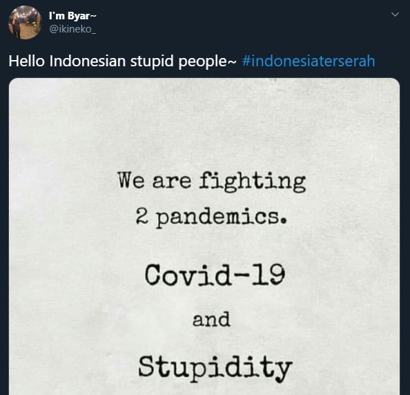 Indonesia Terserah Viral, Ini Ungkapan Kekecewaan Warganet. (twitter.com/ikineko_)