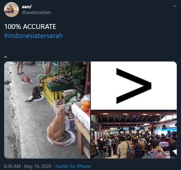 Indonesia Terserah Viral, Ini Ungkapan Kekecewaan Warganet. (twitter.com/andrizaldian)