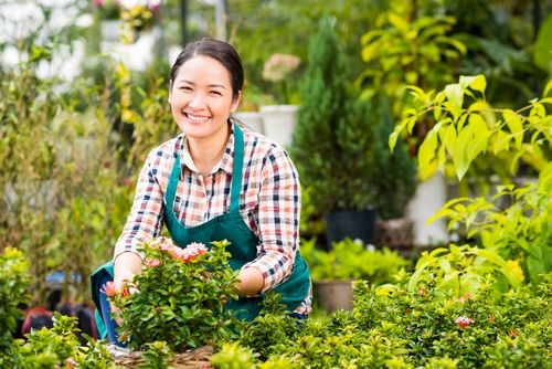 Ilustrasi berkebun. (Shutterstock)