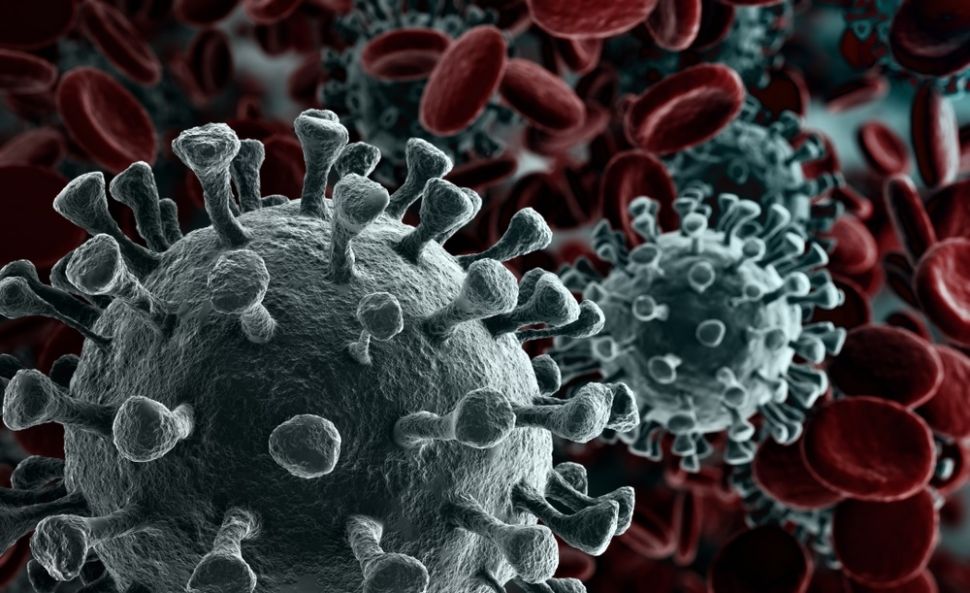 Ilustrasi virus corona. [Shutterstock]