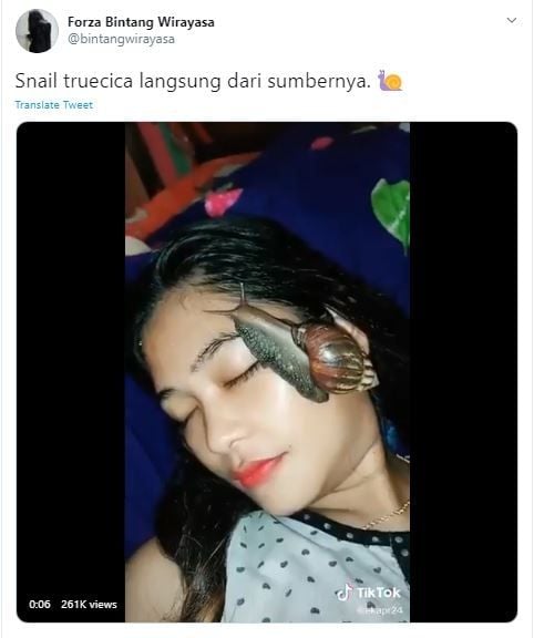 Siput di Wajah Untuk Perawatan Kecantikan (twitter.com/bintangwirayasa)