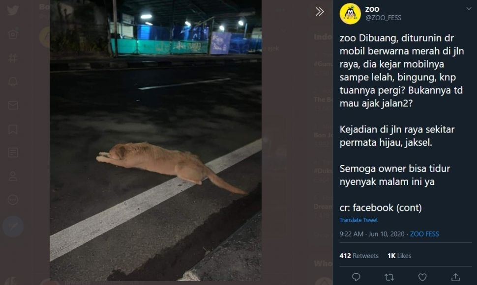 Viral anjing dibuang pemobil, bikin iba. (Twitter/@ZOO_FESS)