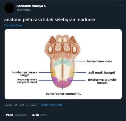 Ngakak, Beredar Foto Anatomi Peta Rasa Lidah Selebgram saat Endorse Makanan. (Twitter/@yantolol)