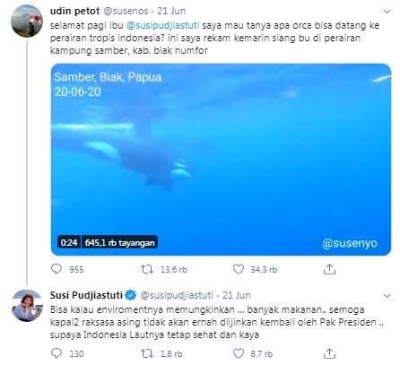 Paus pembunuh di perairan Biak, Papua (Twitter/susipudjiastuti)