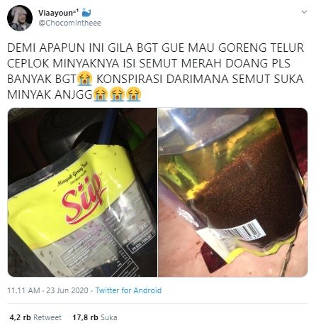 Viral minyak goreng dikerubungi ribuan semut (Twitter).