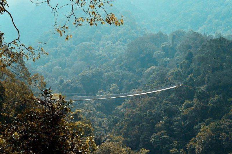 Taman Nasional Gunung Gede Pangrango, Jawa Barat, termasuk kawasan konservasi yang dibuka untuk umum dengan penerapan protokol pencegahan COVID-19. (ANTARA/HO-KLHK)