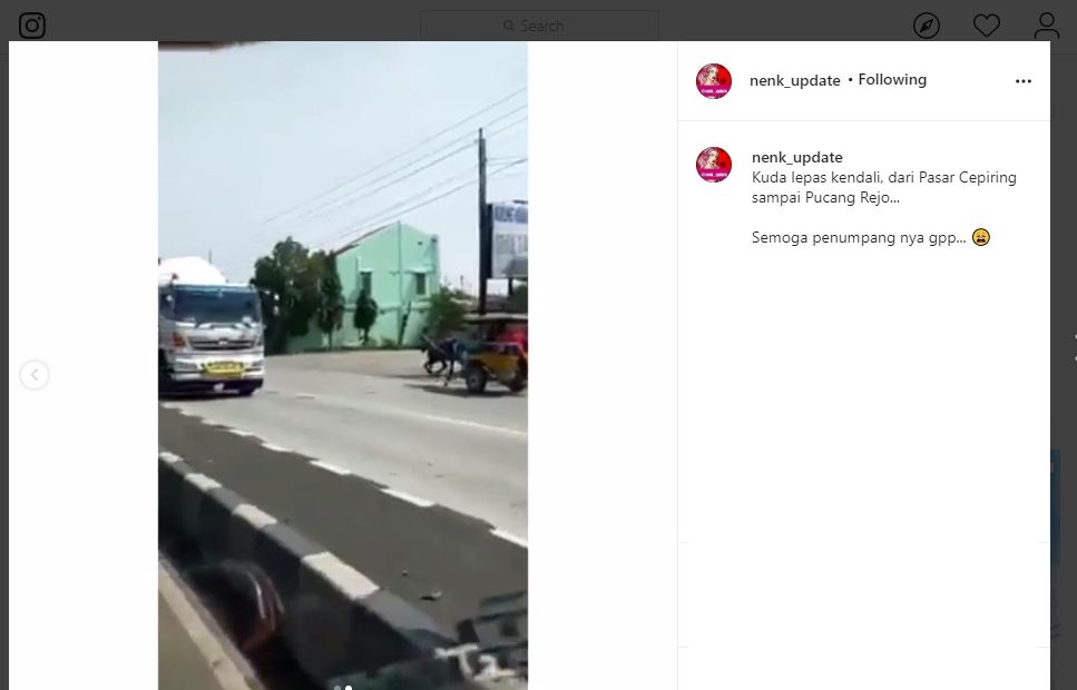 Kuda Delman Lepas Kendali, Bawa Penumpang Melawan Arus di Jalan Raya. Tangkapan layar (instagram.com/nenk_update)