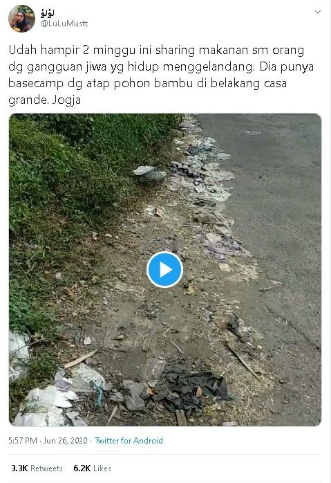 Cuitan viral wanita di Jogja beri makan ODGJ dan 5 anak kucing - (Twitter/@LuLuMustt)