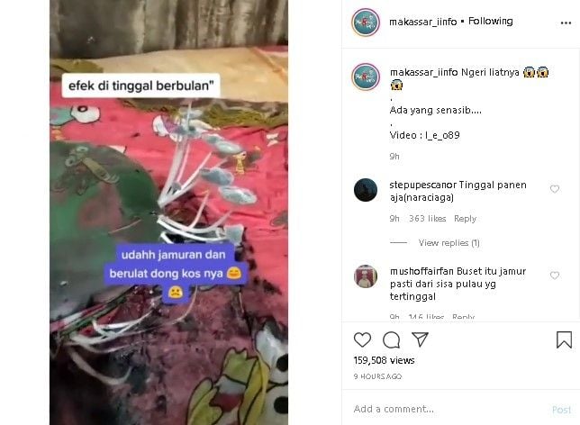 Kamar kos berjamur gegara ditinggal mudik. (Instagram/@makassar_iinfo)