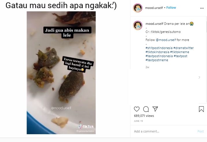 Makan Lele Goreng, Wanita Ini Syok dan Putuskan Gelar Pemakaman Mendadak? (Instagram/@mood.urself)