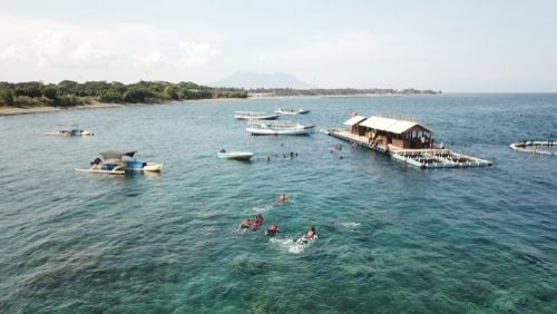 Bangsring Underwater Banyuwangi (Shutterstock)