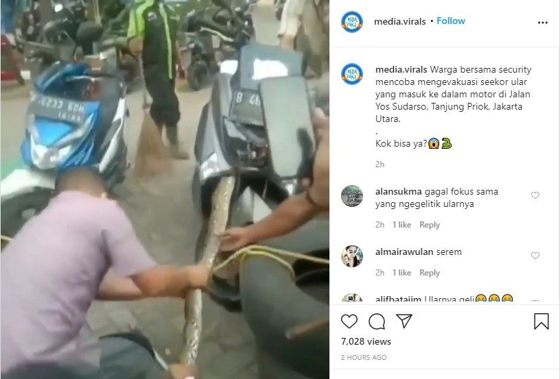 Ular masuk bodi motor digelitiki (Instagram/mediavirals)