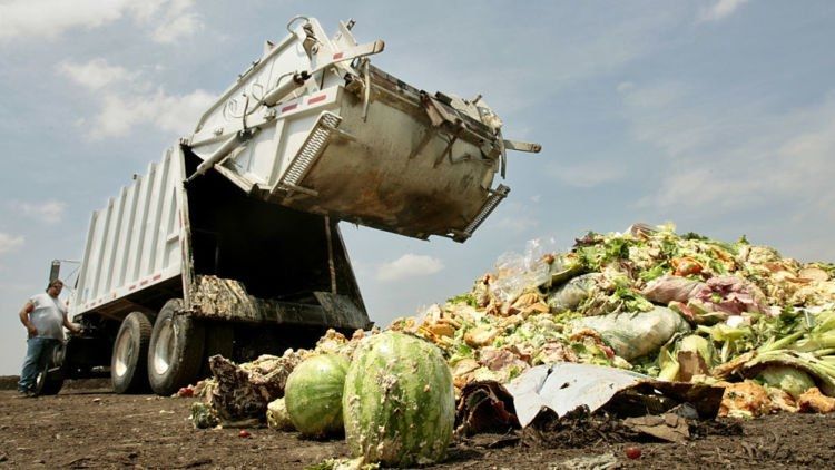 Ilustrasi food waste / sampah makanan (wwf)