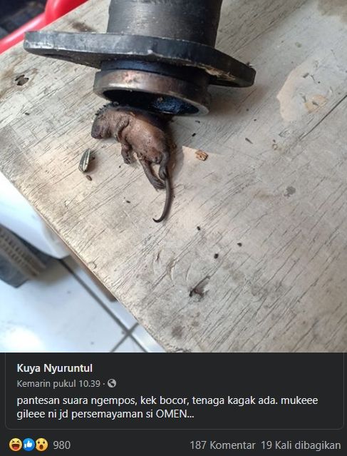 Potret tikus menyusup di motor. (Facebook)