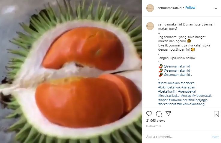 Wujudnya Imut Tapi Dagingnya Tebal, Penampakan Durian Mini Ini Bikin Ngiler. (Instagram/@semuamakan.id)