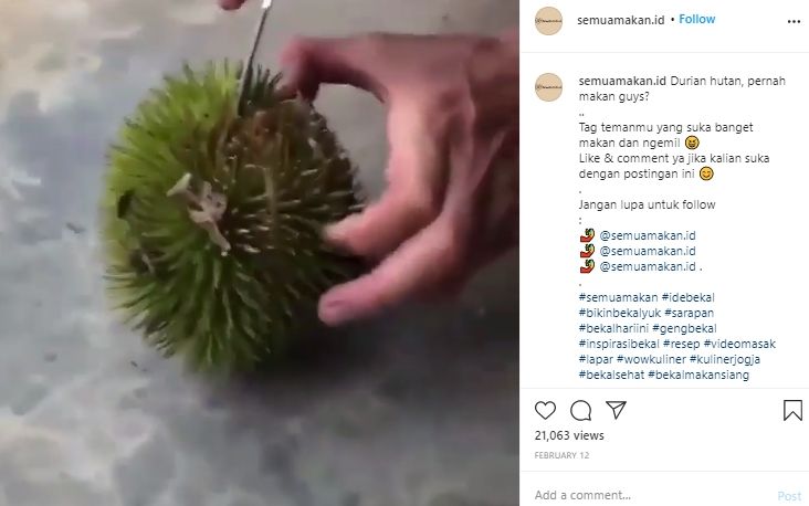 Wujudnya Imut Tapi Dagingnya Tebal, Penampakan Durian Mini Ini Bikin Ngiler. (Instagram/@semuamakan.id)