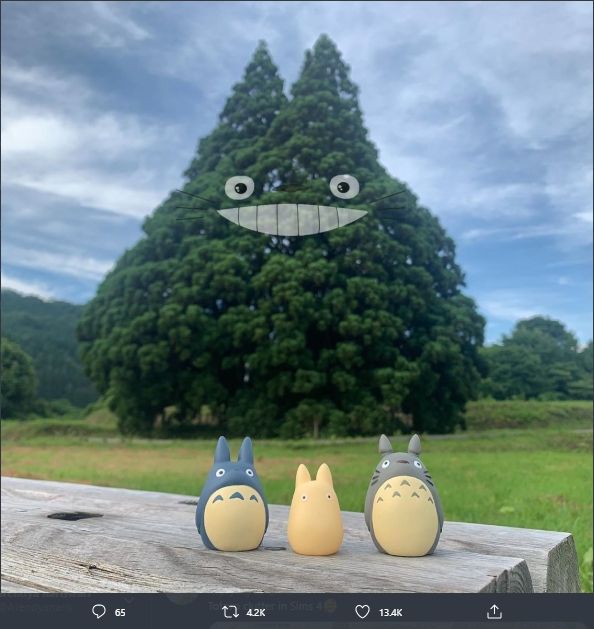 Mirip Karakter Totoro, Penampakan Pohon di Jepang Ini Mendadak Viral. (Twitter/@9GAG)