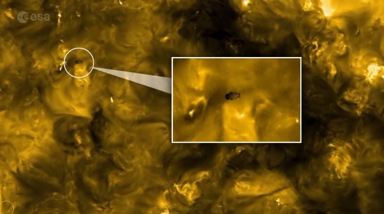 Penampakan makhluk yang diduga sebagai tardigrada padahal sebenarnya bukan. (Solar Orbiter by NASA & ESA via Live Science)