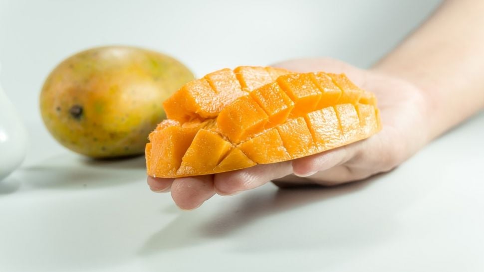 Makan buah mangga. (Pixabay/Fathima Shanas)