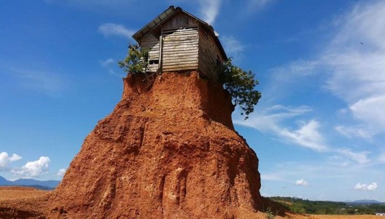 Rumah jomblo. (Times Indonesia)