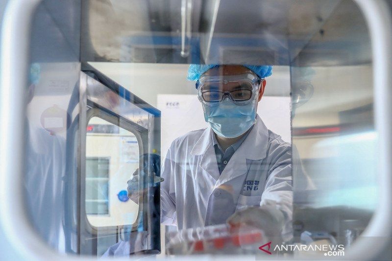 Seorang staf medis mengambil sampel vaksin COVID-19 nonaktif di sebuah pabrik produksi vaksin milik China National Pharmaceutical Group (Sinopharm) di Beijing, China, 11 April 2020. China telah menyetujui dua kandidat vaksin COVID-19 nonaktif untuk uji klinis. Dua kandidat vaksin tersebut dikembangkan oleh Institut Produk Biologi Wuhan di bawah China National Pharmaceutical Group (Sinopharm) dan Sinovac Research and Development Co.Ltd, sebuah perusahaan yang berbasis di Beijing. ANTARA FOTO/Xinhua/Zhang Yuwei/pras. 