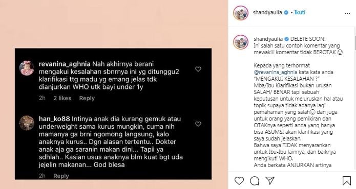 Klarifikasi tentang pemberian madu pada buah hatinya yang masih 5 Bulan dicibir warganet, Shandy Aulia beri komentar menohok di akun instagramnya. (Instagram/@shandyaulia)